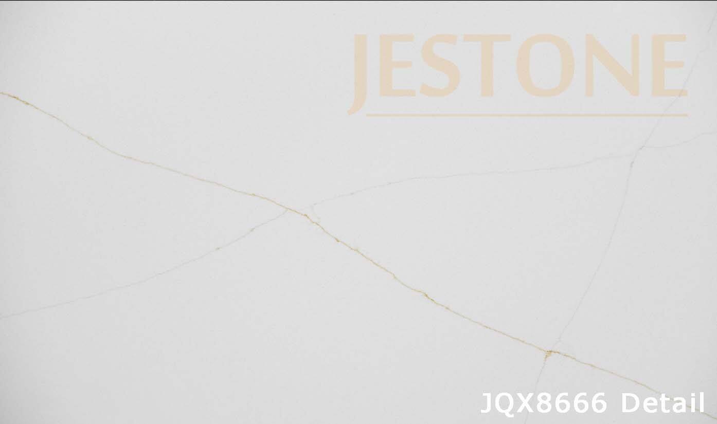 JQ8666detail JQ8666detail